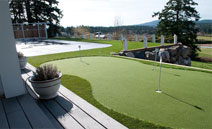 Edgeway Turf Ez-grass Benefit Comparison Thumbnail